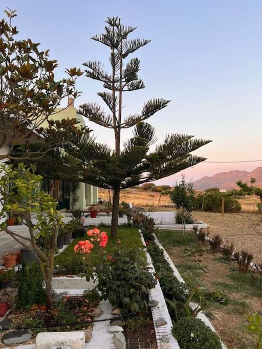 Borgo Majoca - Μονοκατοικία Σε Κυκλαδίτικο Νησί Mési Esterno foto